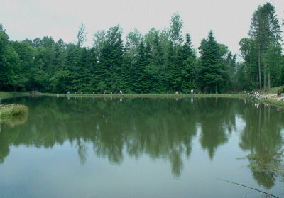 L'étang de Nadine et Georges MACARY pour concours de pêche à Concèze. Etang privé de 1 ha pour la pêche situé a moins d'un km du gîte de Leycuras